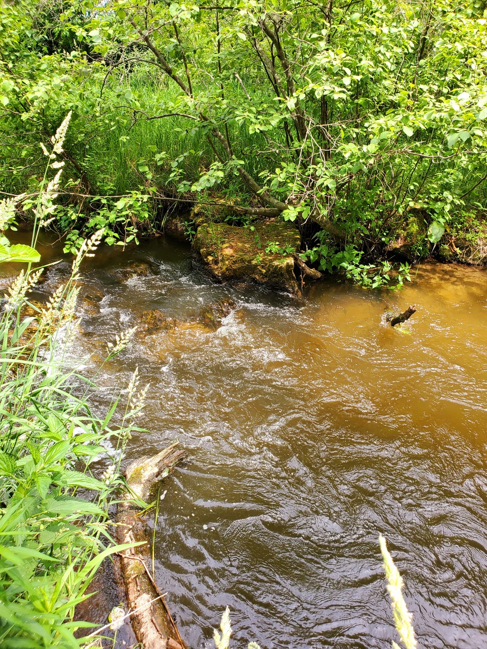 Fort McCoy's Tarr Creek