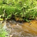 Fort McCoy's Tarr Creek