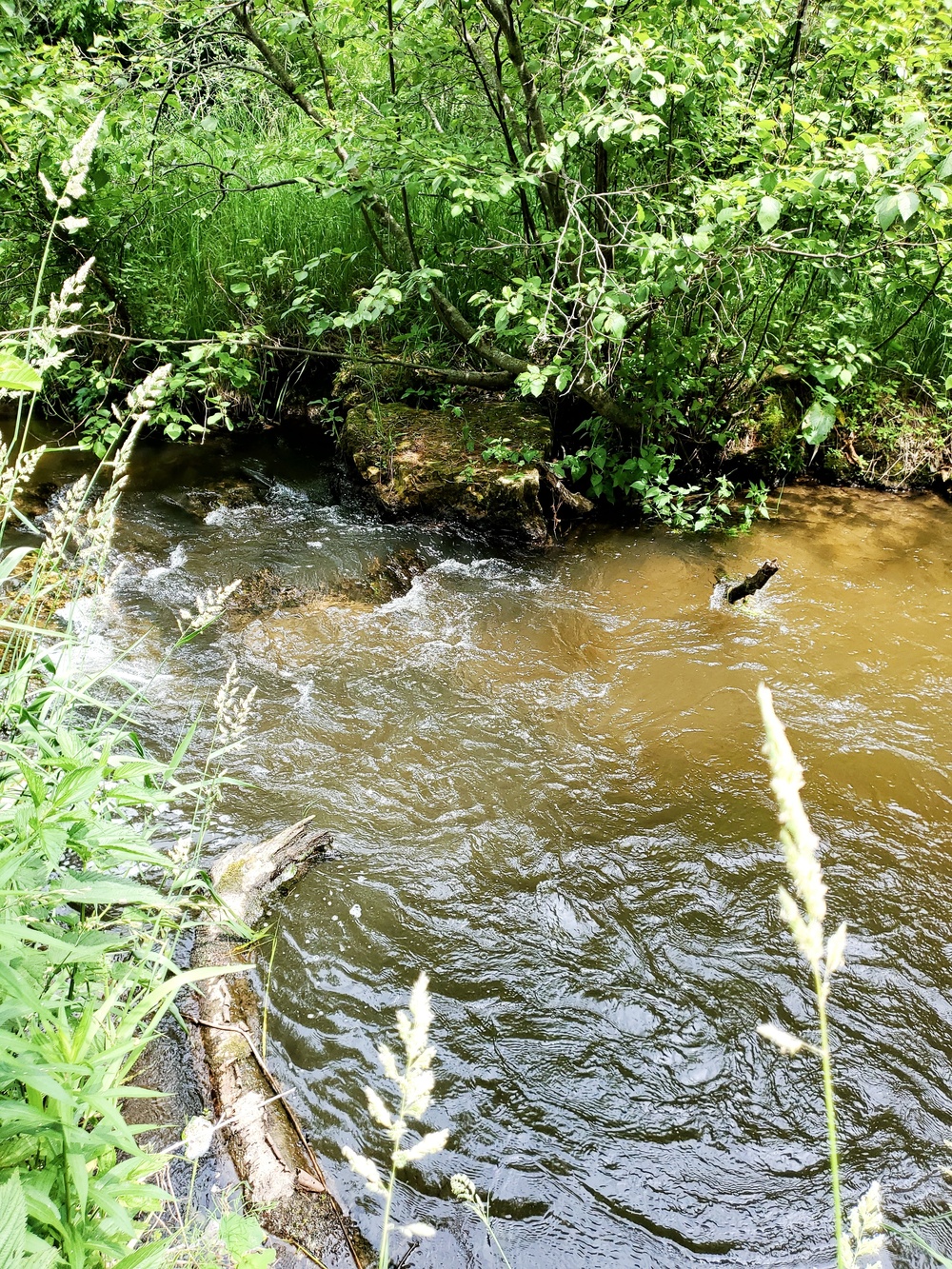 Fort McCoy's Tarr Creek