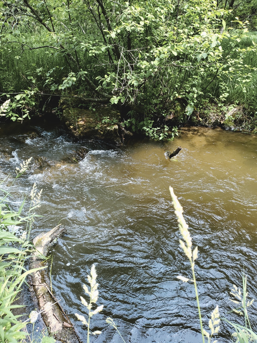 Fort McCoy's Tarr Creek