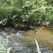Fort McCoy's Tarr Creek