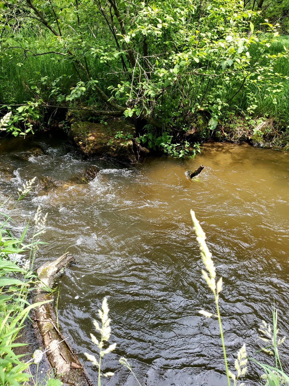 Fort McCoy's Tarr Creek
