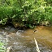 Fort McCoy's Tarr Creek