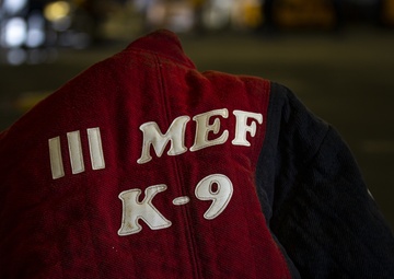 US Marines conduct endurance bite suit training