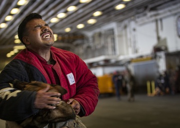 US Marines conduct endurance bite suit training