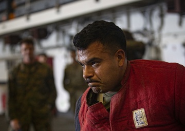 US Marines conduct endurance bite suit training