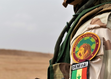 African Lion 2021 - Combined Live Fire