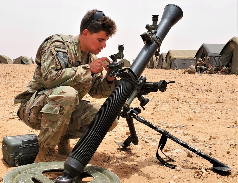 African Lion 2021 - 48th IBCT In Action