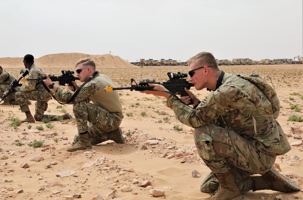 African Lion 2021 - 48th IBCT In Action
