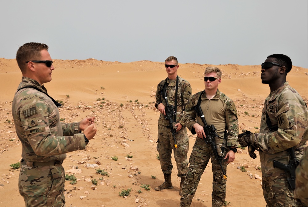 African Lion 2021 - 48th IBCT In Action