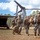 Exercise Darrandarra: MRF-D’s Charlie Co. arrives