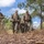 Exercise Darrandarra: MRF-D’s Charlie Co. arrives