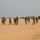 African Lion 2021 - USAREUR-AF Command Team Visit