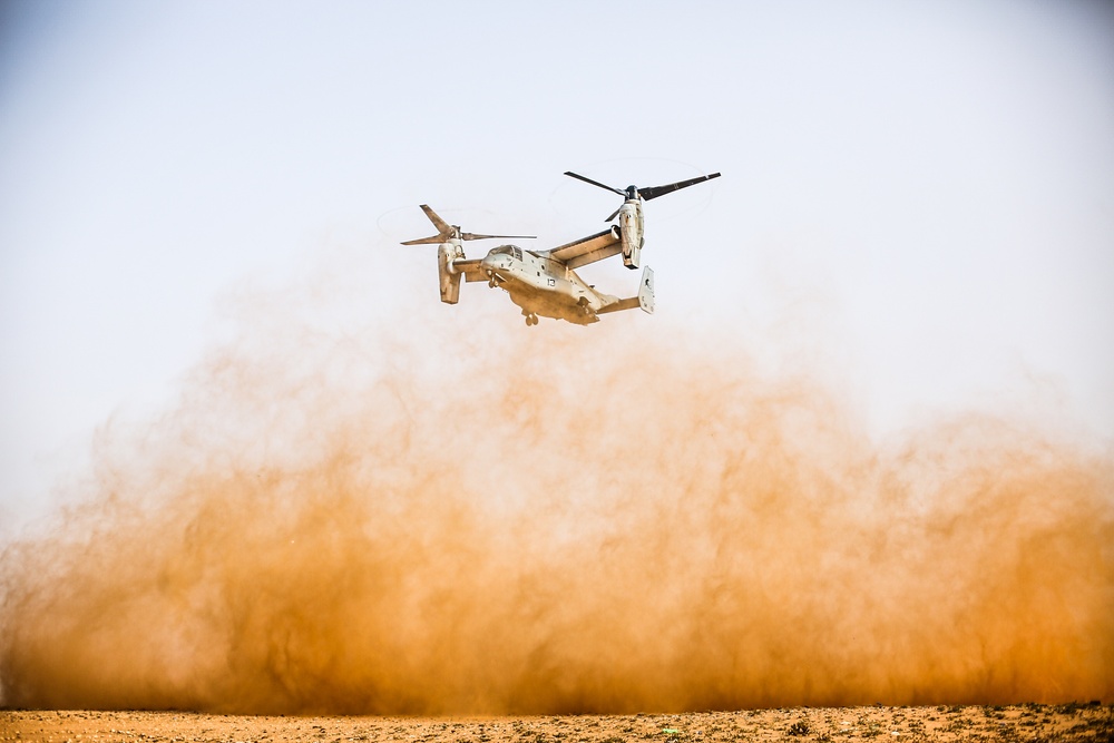 African Lion 2021 - MV-22 Reduced Visibility Landing Training