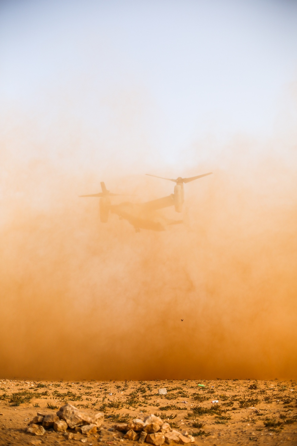 African Lion 2021 - MV-22 Reduced Visibility Landing Training