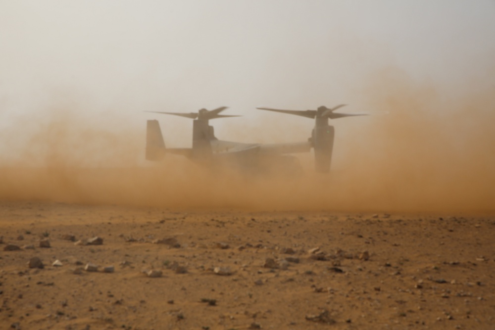 African Lion 2021 - MV-22 Reduced Visibility Landing Training