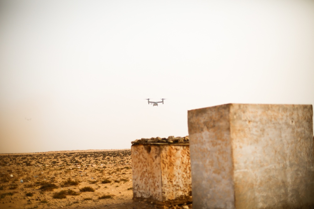 African Lion 2021 - MV-22 Reduced Visibility Landing Training