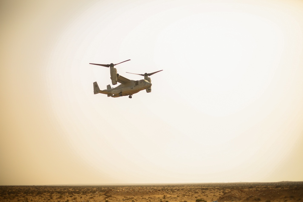 African Lion 2021 - MV-22 Reduced Visibility Landing Training