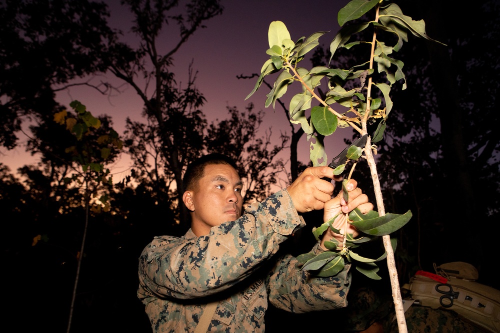 Wilderness survival training class