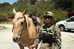 Mounted unit rides into annual training exercise