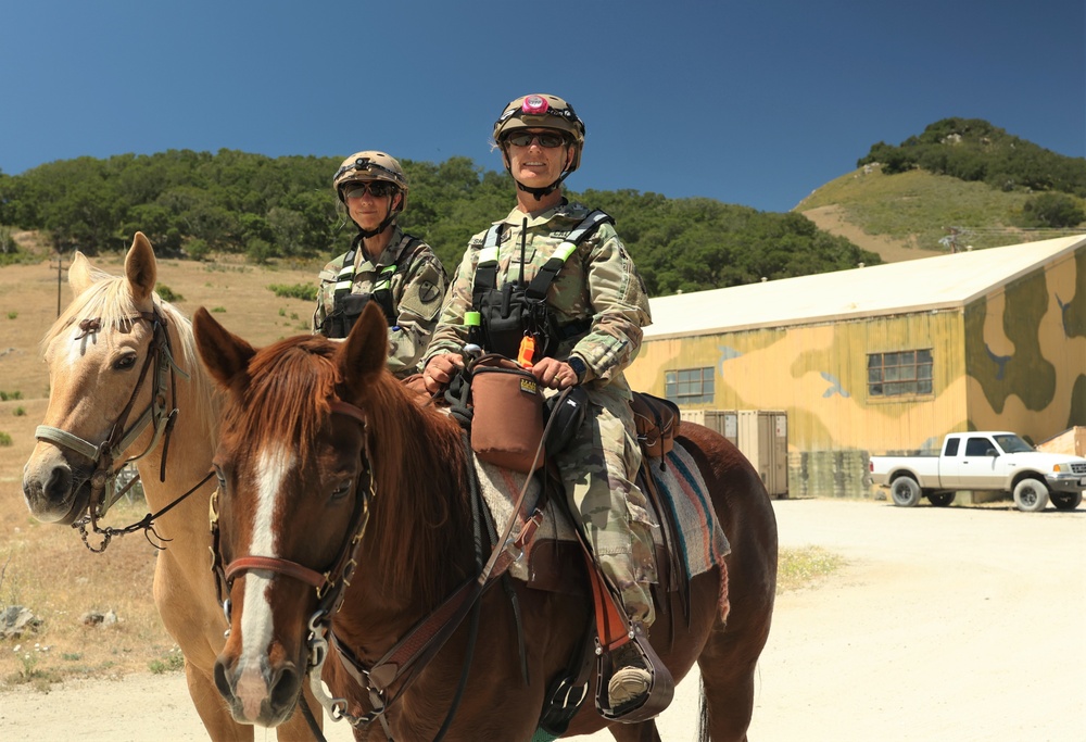 Mounted Operations Detachment