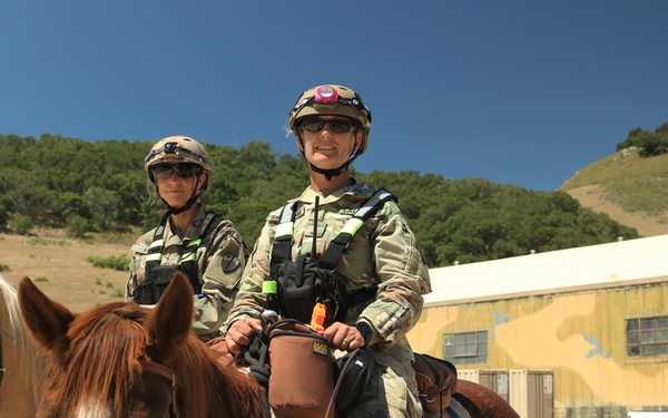 Mounted Operations Detachment
