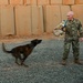 Colonel Powell visits Camp Lemonnier and Chabelley Airfield in Djibouti