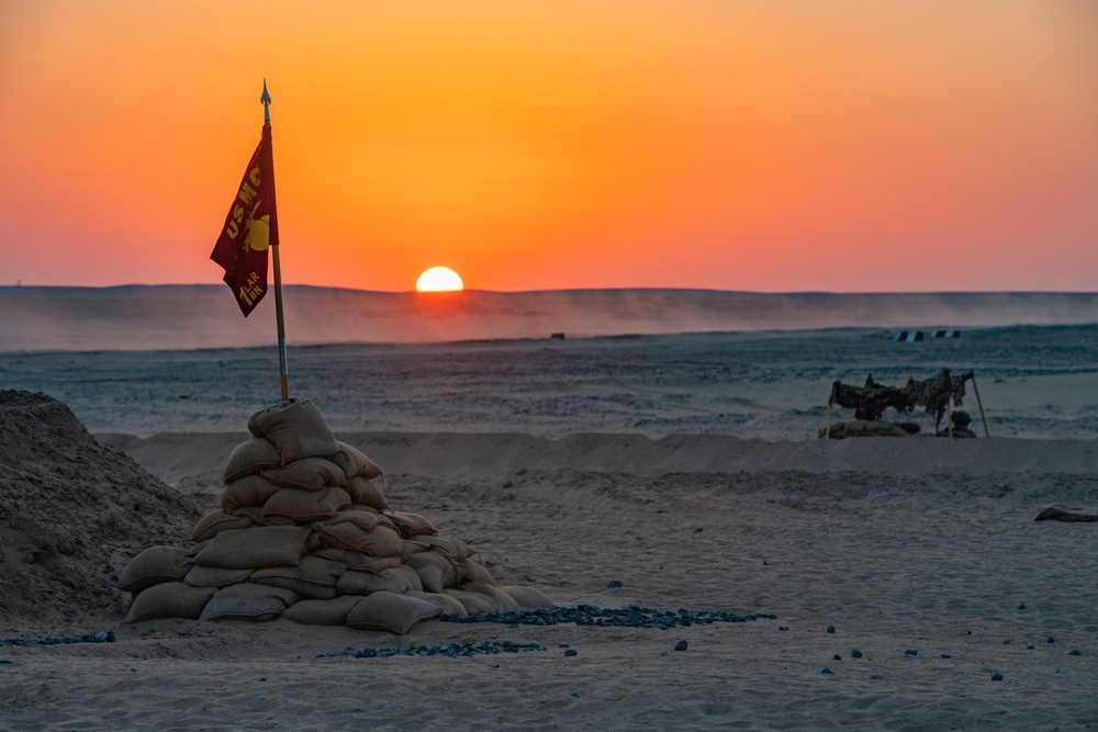 15th MEU LAR Marines zero 25mm cannons