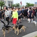 Pacific Medics run/walk Celebrates Army Heritage Month
