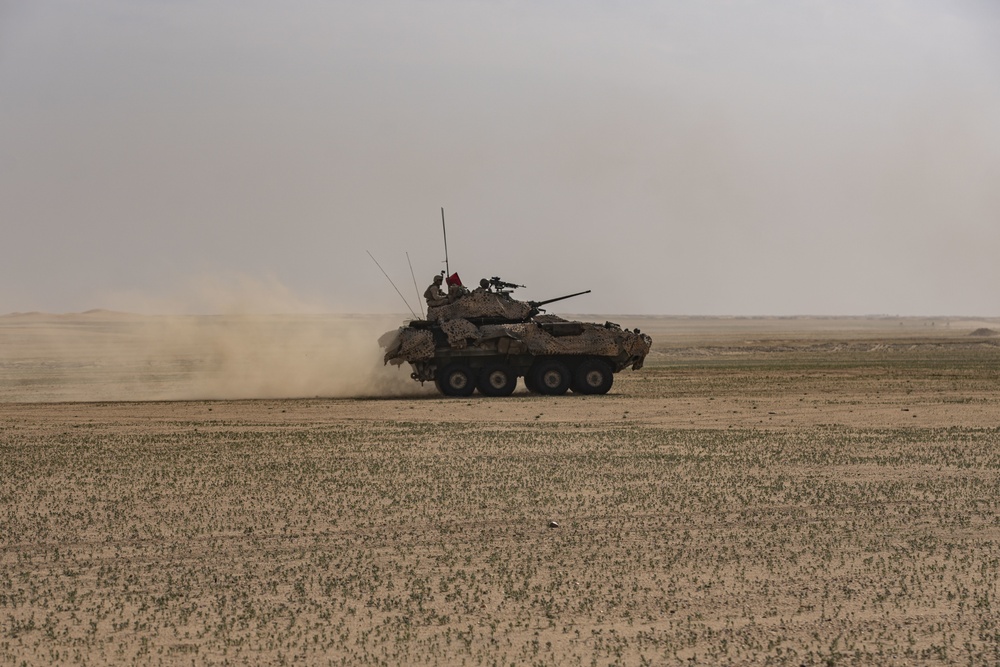 DVIDS - Images - BLT 1/4 Marines, Sailors participate in Battalion ...