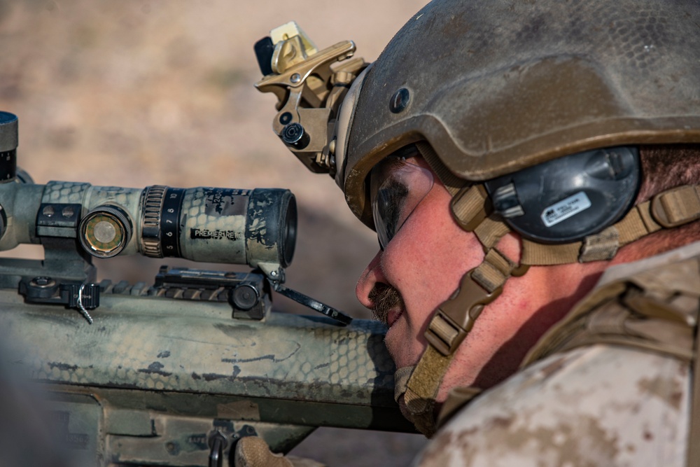 DVIDS - Images - BLT 1/4 Marines, Sailors participate in Battalion ...