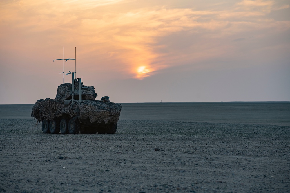 BLT 1/4 Marines, Sailors participate in Battalion assault