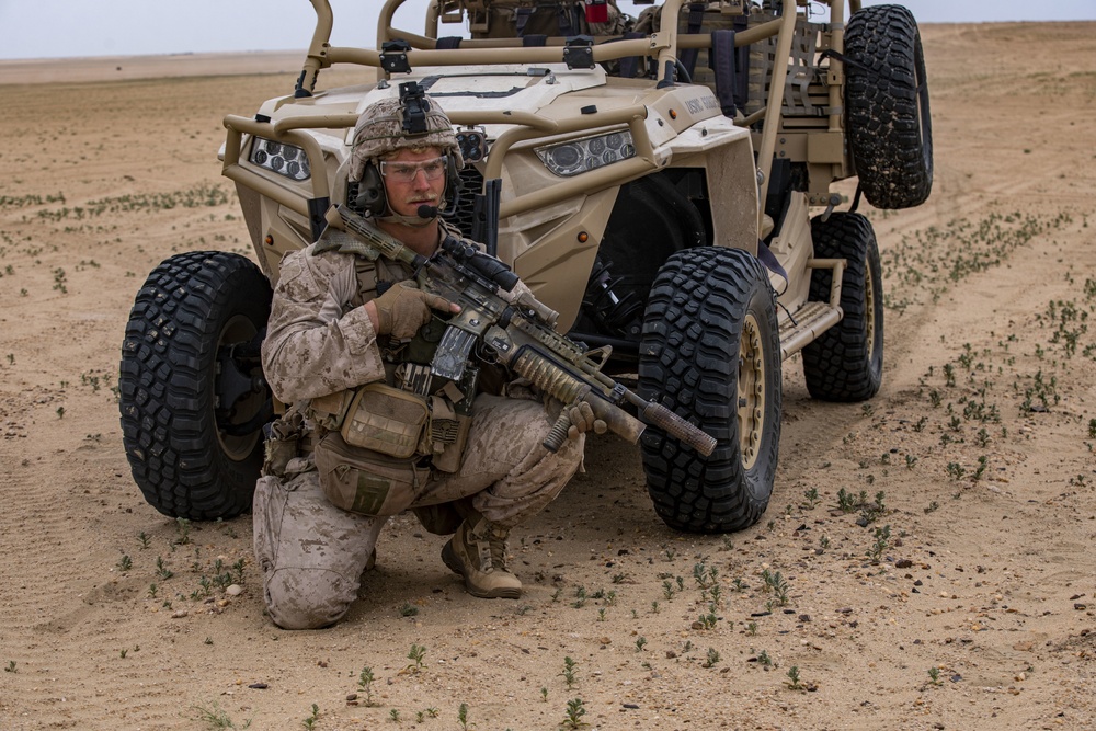 BLT 1/4 Marines, Sailors participate in Battalion assault