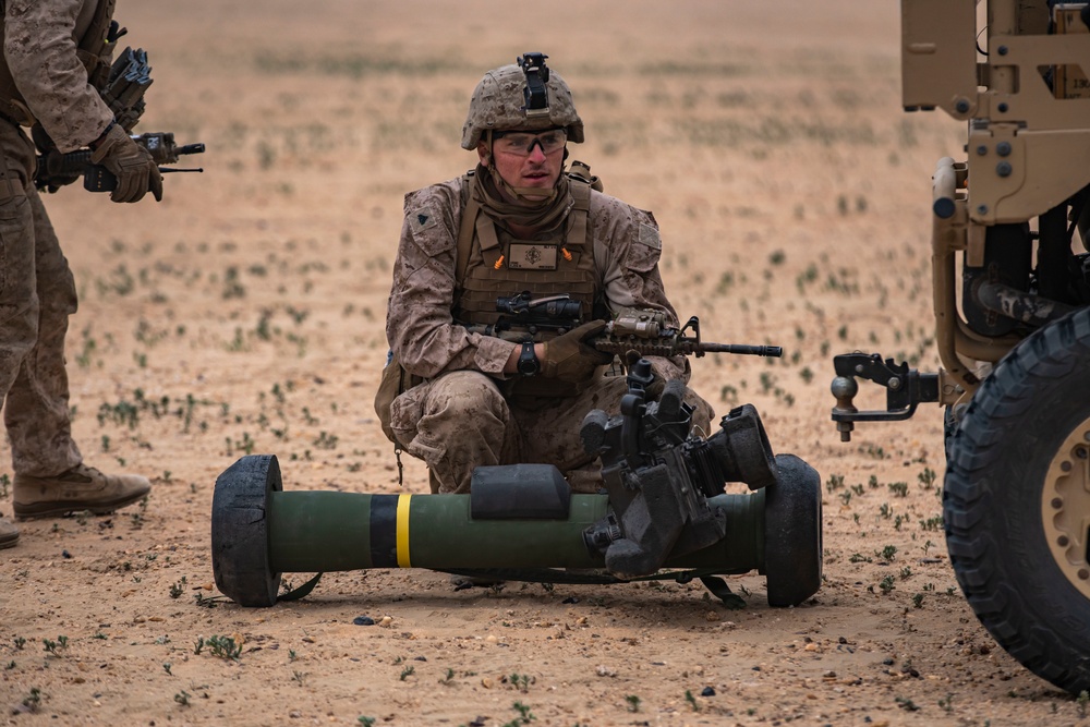 DVIDS - Images - BLT 1/4 Marines, Sailors Participate In Battalion ...