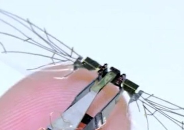 New patent license agreement revalues worth of the two birds in the bush