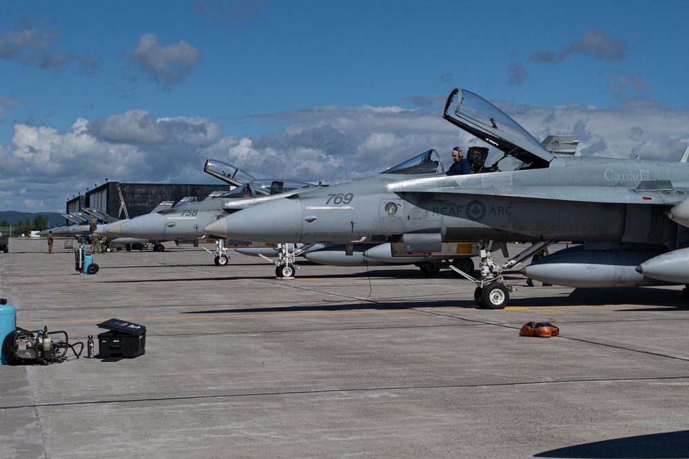 Exercise AMALGAM DART 21-1