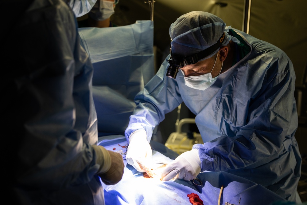 African Lion 2021 - Hernia Surgery