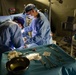 African Lion 2021 - Hernia Surgery