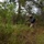 A person in tactical/military-style gear is kneeling in a wooded area while aiming a long firearm. The individual is wearing camouflage pants, a tactical vest, and a cap, positioned among pine trees and dense undergrowth. Smoke or haze is visible in the background, suggesting an active training exercise or field operation.