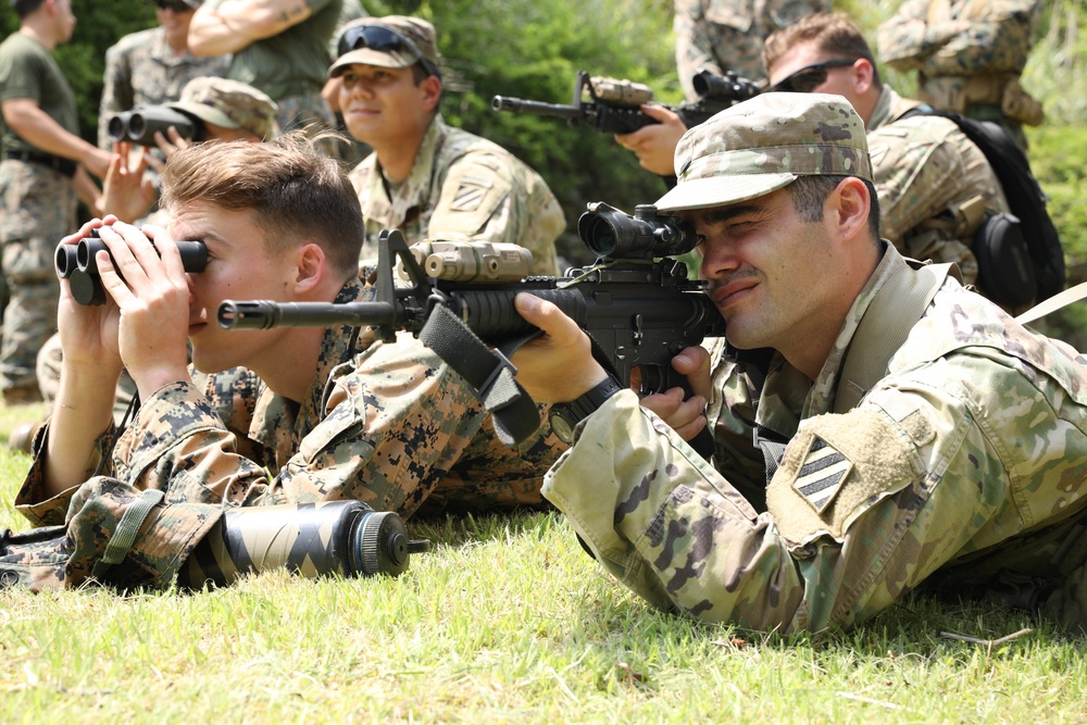 Soldiers of 3rd Infantry Division and Marines train together on Camp Fuji