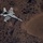 Exercise Amalgam Dart 21-1