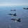 Exercise Amalgam Dart 21-1