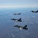 Exercise Amalgam Dart 21-1