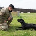 Black labs bring enhanced capabilities to the kennel