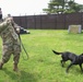 Black labs bring enhanced capabilities to the kennel