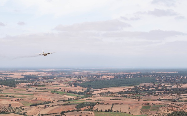 Two Birds, One Mission African Lion 21