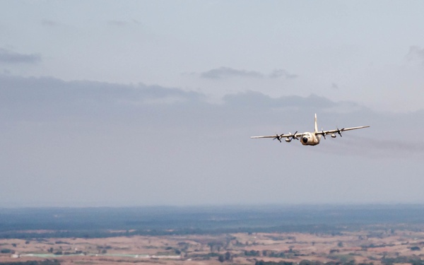 Two Birds, One Mission African Lion 21