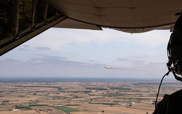 Two Birds, One Mission African Lion 21