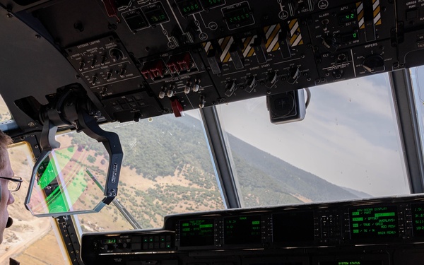 Two Birds, One Mission African Lion 21