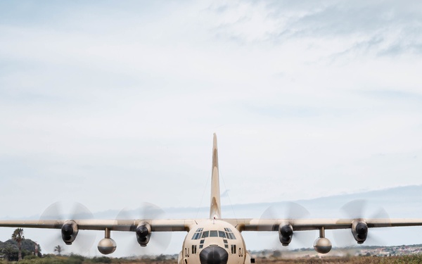 Two Birds, One Mission African Lion 21